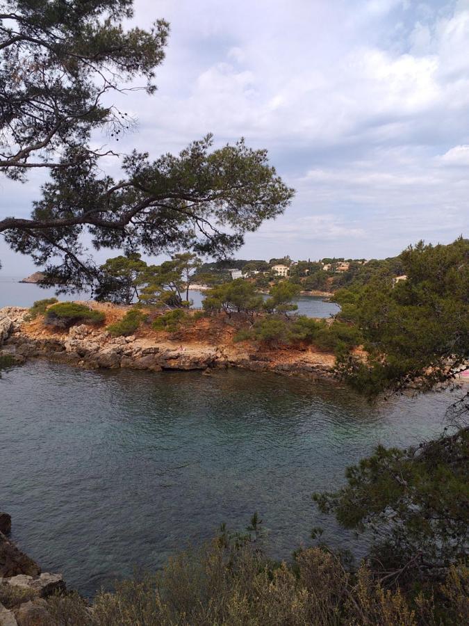 Joli Studio Res Au Calme En Rez De Jardin A Bandol. Exterior photo